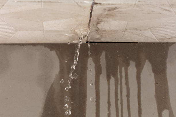 Professional Burst Pipe Cleanup technician working in Pine, CO